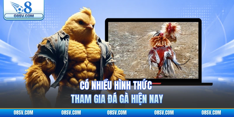 Có nhiều hình thức tham gia đá gà hiện nay