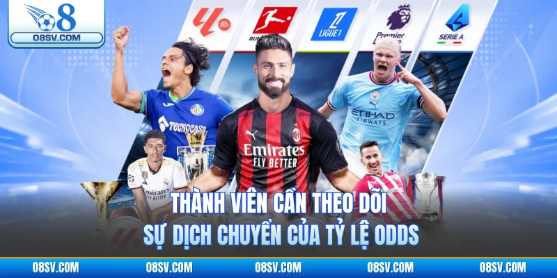 Thành viên cần theo dõi sự dịch chuyển của tỷ lệ odds